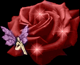 **rose**